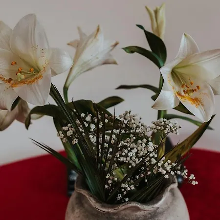 Dunard House. * Tullaha