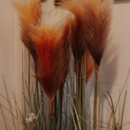 Dunard House. * Tullaha