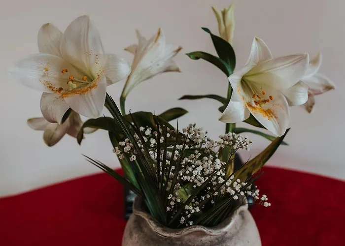 Dunard House. * Tullaha