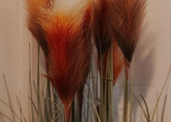 Dunard House. * Tullaha